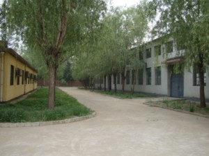 金久卓尔工厂